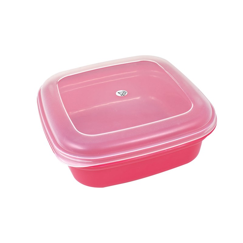 Future Maxi Container